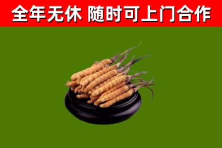 潮州市烟酒回收冬虫夏草.jpg
